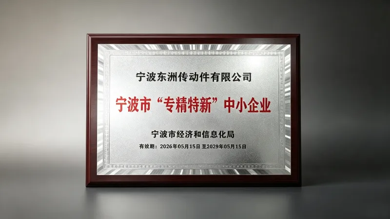 Ningbo Dongzhou Transmission Co., Ltd. recibe el estatus de PYME 